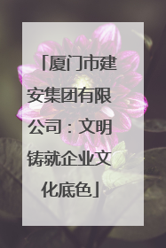 厦门市建安集团有限公司：文明铸就企业文化底色