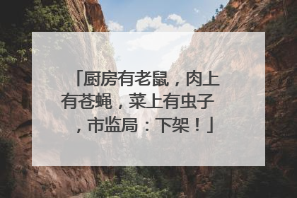 厨房有老鼠，肉上有苍蝇，菜上有虫子，市监局：下架！