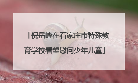 倪岳峰在石家庄市特殊教育学校看望慰问少年儿童