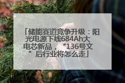 储能赛道竞争升级：阳光电源下线684Ah大电芯新品，“136号文”后行业将怎么走