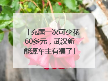充满一次可少花60多元，武汉新能源车主有福了