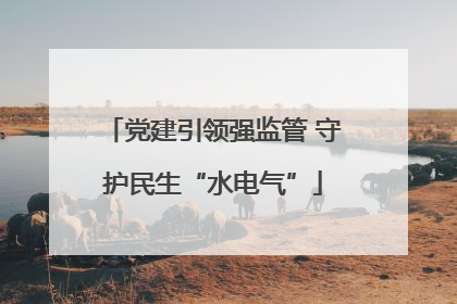 党建引领强监管 守护民生“水电气”