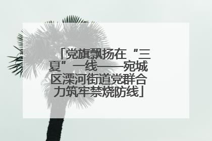 党旗飘扬在“三夏”一线——宛城区溧河街道党群合力筑牢禁烧防线