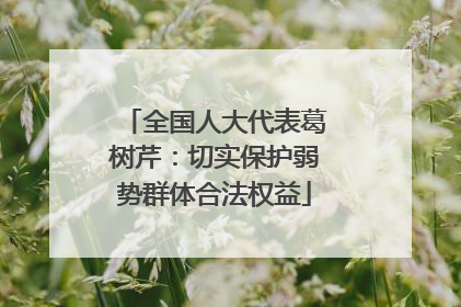 全国人大代表葛树芹：切实保护弱势群体合法权益