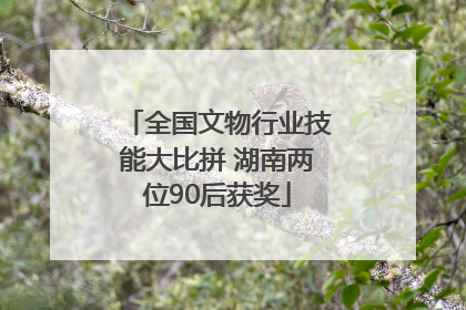 全国文物行业技能大比拼 湖南两位90后获奖