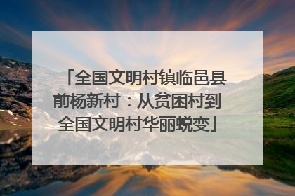全国文明村镇临邑县前杨新村：从贫困村到全国文明村华丽蜕变