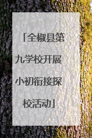 全椒县第九学校开展小初衔接探校活动