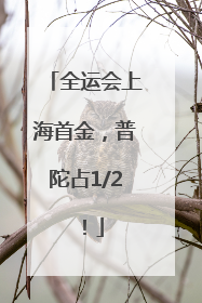 全运会上海首金，普陀占1/2！