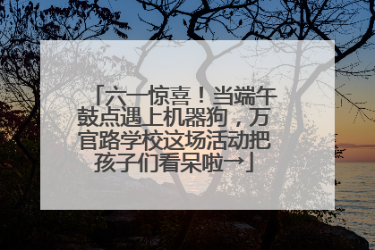 六一惊喜！当端午鼓点遇上机器狗，万官路学校这场活动把孩子们看呆啦→