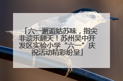 六一邂逅姑苏味，指尖非遗乐翻天！苏州吴中开发区实验小学“六一”庆祝活动精彩纷呈