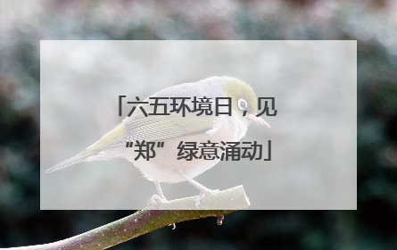 六五环境日，见“郑”绿意涌动