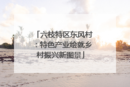 六枝特区东风村：特色产业绘就乡村振兴新图景