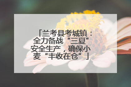 兰考县考城镇：全力备战“三夏”安全生产，确保小麦“丰收在仓”