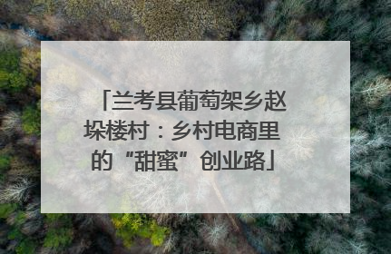兰考县葡萄架乡赵垛楼村：乡村电商里的“甜蜜”创业路