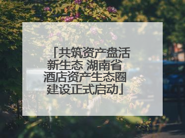 共筑资产盘活新生态 湖南省酒店资产生态圈建设正式启动