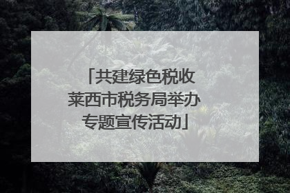 共建绿色税收 莱西市税务局举办专题宣传活动
