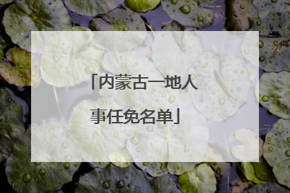 内蒙古一地人事任免名单