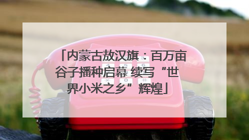 内蒙古敖汉旗：百万亩谷子播种启幕 续写“世界小米之乡”辉煌