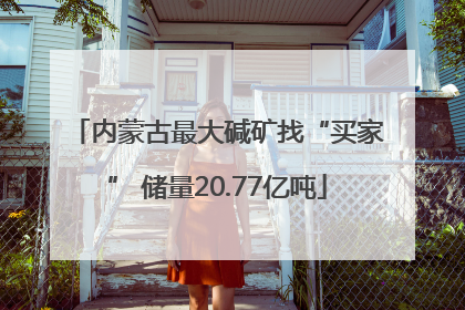 内蒙古最大碱矿找“买家” 储量20.77亿吨