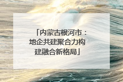 内蒙古根河市：地企共建聚合力构建融合新格局