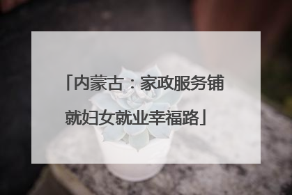 内蒙古：家政服务铺就妇女就业幸福路