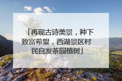 再现古诗美景，种下致富希望，西湖景区村民自发茶园植树