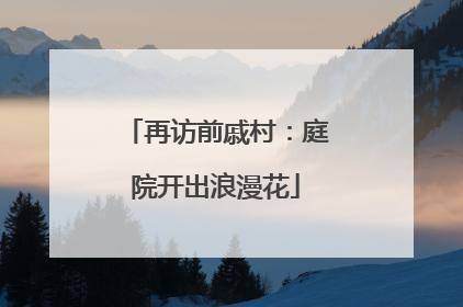 再访前戚村：庭院开出浪漫花