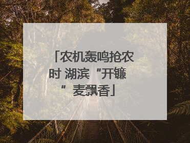 农机轰鸣抢农时 湖滨“开镰”麦飘香