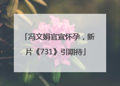 冯文娟官宣怀孕，新片《731》引期待