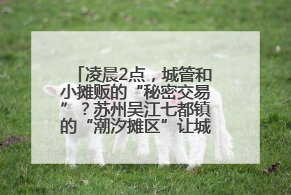 凌晨2点，城管和小摊贩的“秘密交易”？苏州吴江七都镇的“潮汐摊区”让城市管理有了人情味