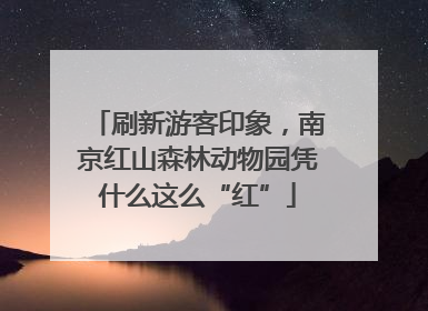 刷新游客印象，南京红山森林动物园凭什么这么“红”
