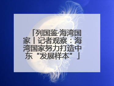 列国鉴·海湾国家丨记者观察：海湾国家努力打造中东“发展样本”