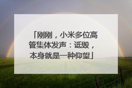 刚刚，小米多位高管集体发声：诋毁，本身就是一种仰望