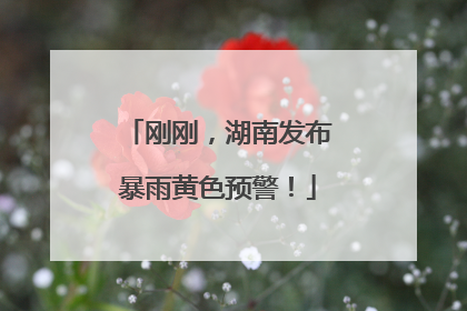 刚刚，湖南发布暴雨黄色预警！