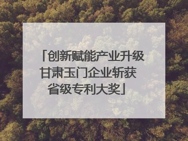 创新赋能产业升级 甘肃玉门企业斩获省级专利大奖