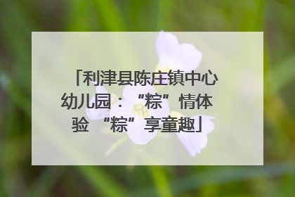 利津县陈庄镇中心幼儿园：“粽”情体验 “粽”享童趣