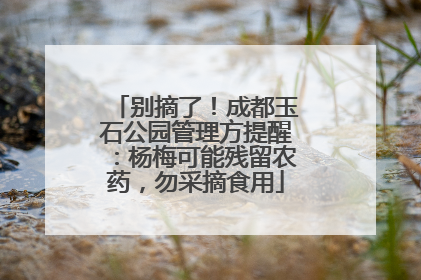 别摘了！成都玉石公园管理方提醒：杨梅可能残留农药，勿采摘食用