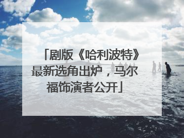 剧版《哈利波特》最新选角出炉，马尔福饰演者公开