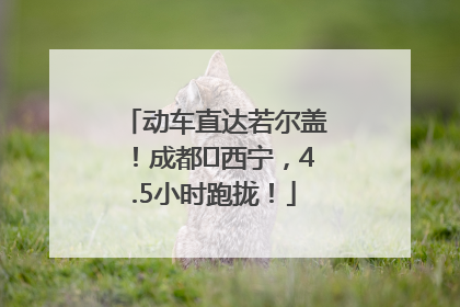 动车直达若尔盖！成都⇄西宁，4.5小时跑拢！