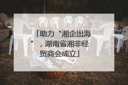 助力“湘企出海”，湖南省湘非经贸商会成立