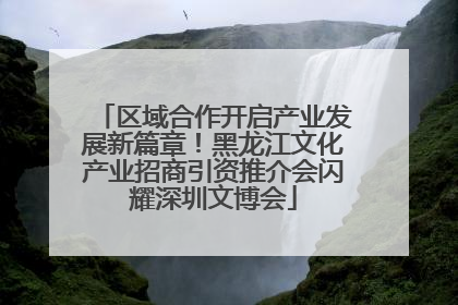 区域合作开启产业发展新篇章！黑龙江文化产业招商引资推介会闪耀深圳文博会