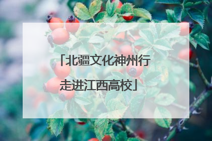 北疆文化神州行走进江西高校