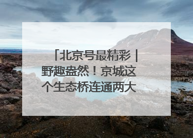 北京号最精彩｜野趣盎然！京城这个生态桥连通两大网红公园