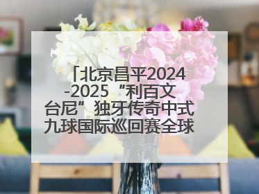 北京昌平2024-2025“利百文台尼”独牙传奇中式九球国际巡回赛全球总决赛举行