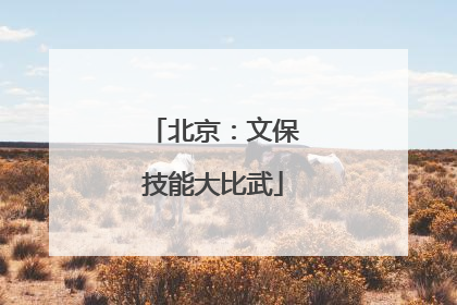 北京：文保技能大比武