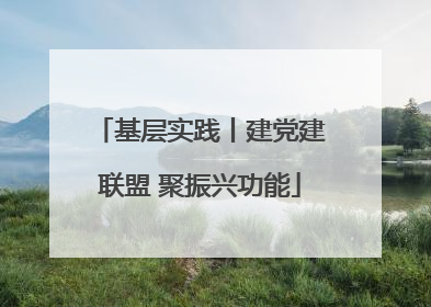 基层实践丨建党建联盟 聚振兴功能