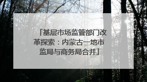 基层市场监管部门改革探索：内蒙古一地市监局与商务局合并