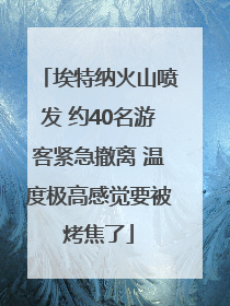 埃特纳火山喷发 约40名游客紧急撤离 温度极高感觉要被烤焦了