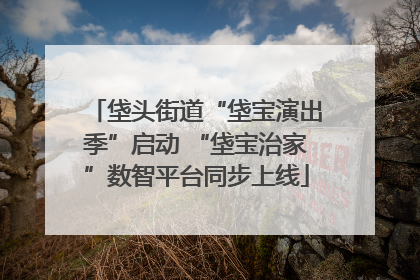 垡头街道“垡宝演出季”启动 “垡宝治家”数智平台同步上线