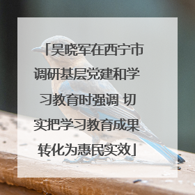 吴晓军在西宁市调研基层党建和学习教育时强调 切实把学习教育成果转化为惠民实效